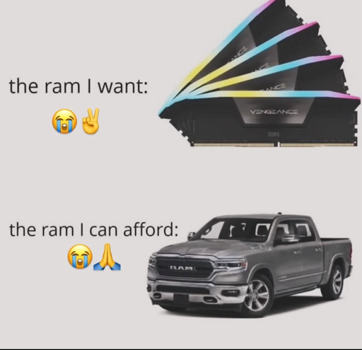 4 sticks of computer ram labeled “the ram I want 😭✌️”

A RAM truck labeled “the ram I can afford 😭🙏”

Labels are on the left side of the screen