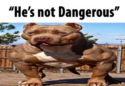 If you're blind and can't see, then butt off