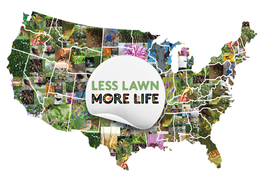 Map of the contiguous USA with colorful flowers instead of topography and the "Less Lawn More Life" logo prominently in the center