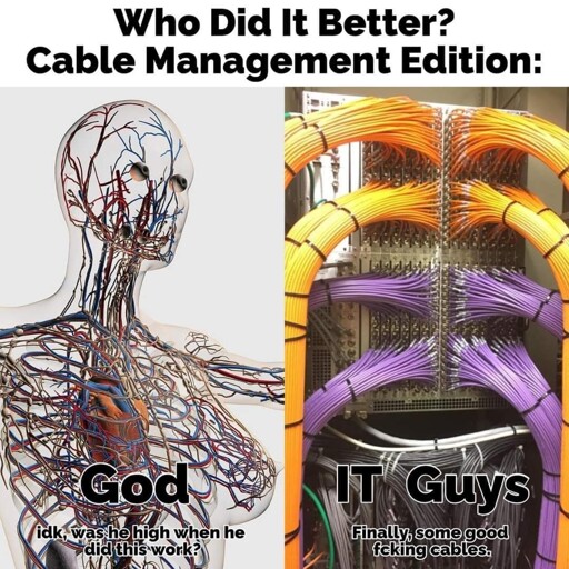 Who did it better? Cabel Management Edition: Image of nervous system / God / "idk he was high when he did this work?"; Image of neat server rack / IT Guys / "finally, some good fcking cables."